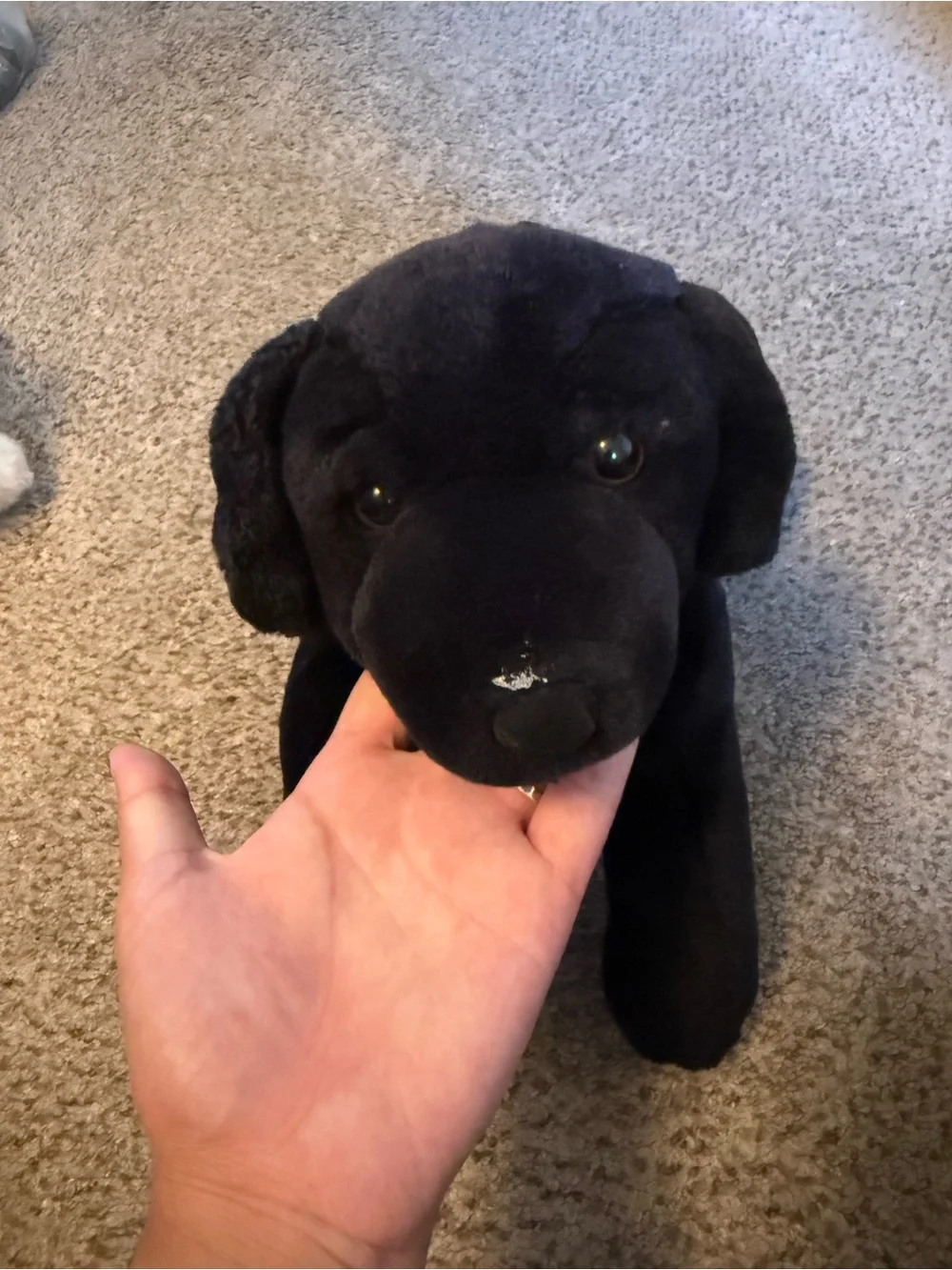 Plush Black Dog Toy - Soft Pet Plush
